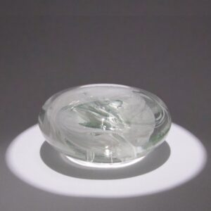 Disc