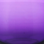 Heliotrope